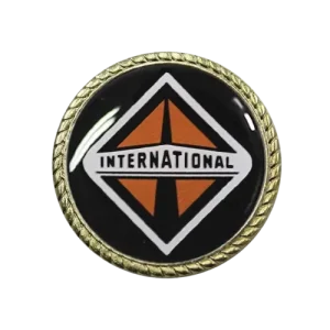 Pin-metalico-redondo-circular-dorado-trenzado-puntilla