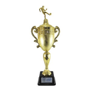 Trofeo de fútbol personalizado | Venta de trofeos deportivos  - 2023