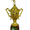 Trofeo de Fútbol - Imagen 2