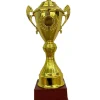 Trofeo de Fútbol
